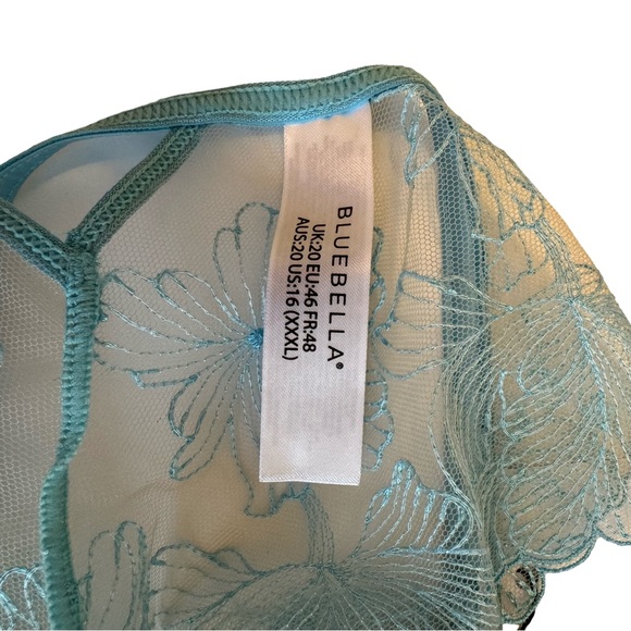 Bluebella- Alula Briefs XXXL light-blue sheer flowers mesh lace trim - Picture 10 of 12